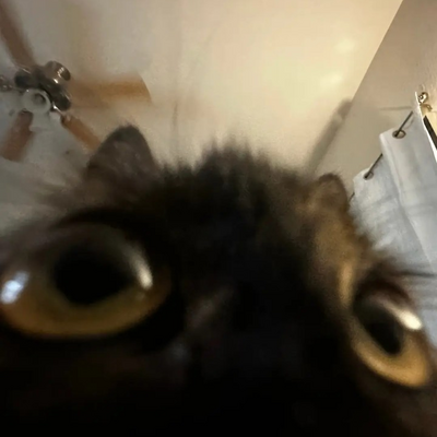 @_nao
