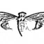 Phoptherus314159 avatar