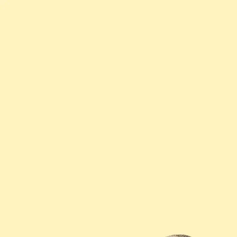 Game by @diseasel