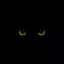 Stanbin avatar