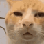 MakingGameForFun avatar