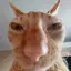 Starwyz avatar
