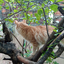 TheWorldOfGatagamer avatar