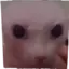 bingus_uhh avatar