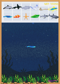 Feed the fish