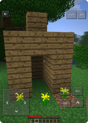 snapshot
