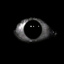 PopBox avatar