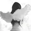 weotte avatar