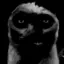 numberblock_2_5 avatar
