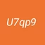 U7qp9-Castle avatar