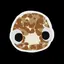 linbo avatar