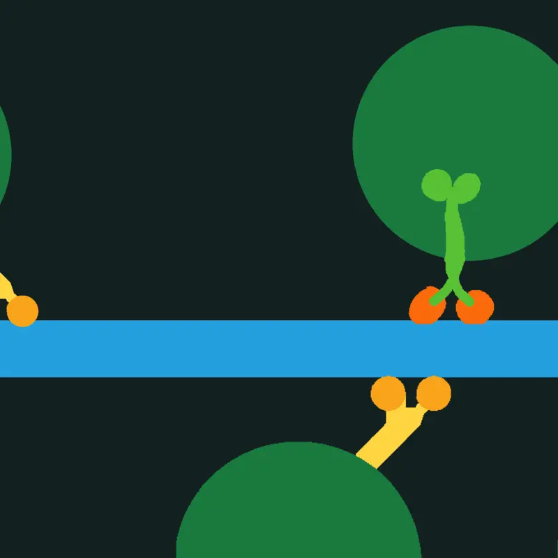 Kinesin and Dynein by @Io_the_moon