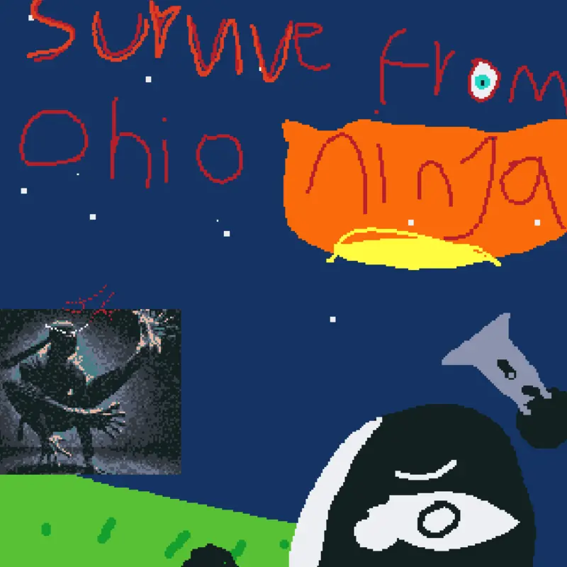 Ohio ninja by @ohio_ninja