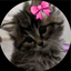 sallyXD avatar