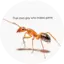 lookatthedeckIAntStudios avatar