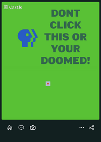 Castle in castle but...