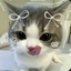 lilaaaaa avatar