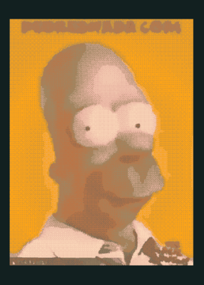 snapshot