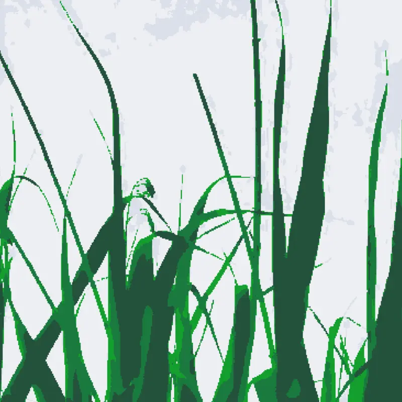 Game by @naturenaturenature
