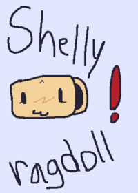 Shelly ragdoll