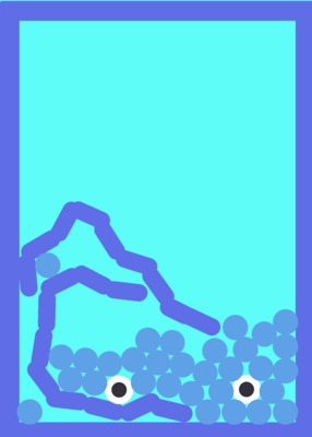 snapshot