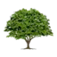gar_log avatar