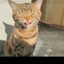 AdrianLoL avatar