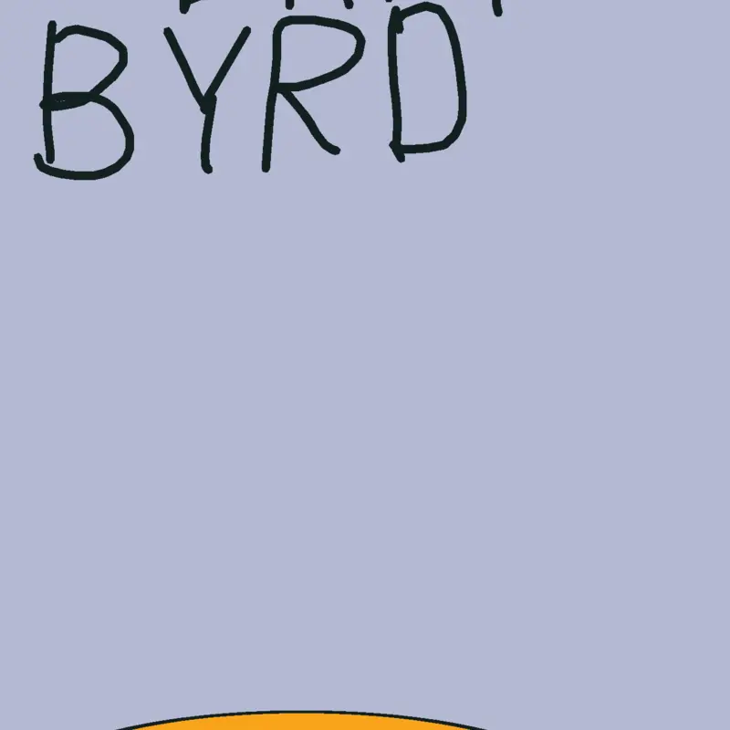 FLAPPY BYRD by @mahjik