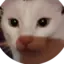 The_Landman avatar