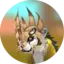 XavierTheCheetah avatar
