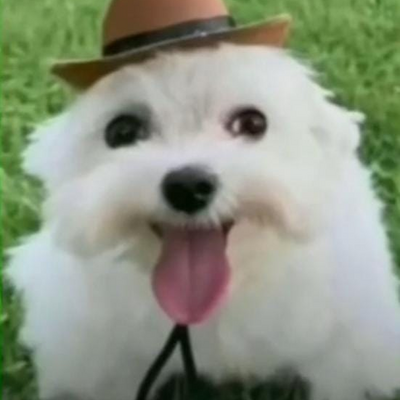 @gatozz_45