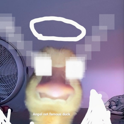 @duck323