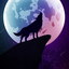 night_wolf375 avatar
