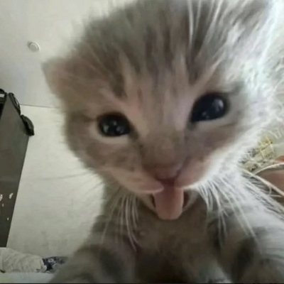 @HeroicTiger9222