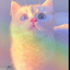 Flower_kitten-2748 avatar