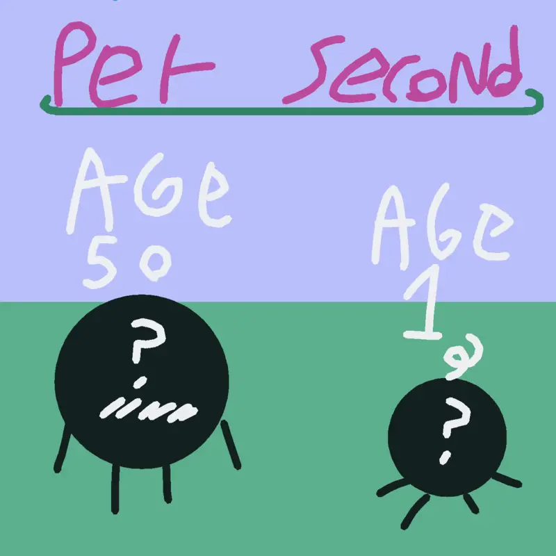 One year per second by @Mr_random-666