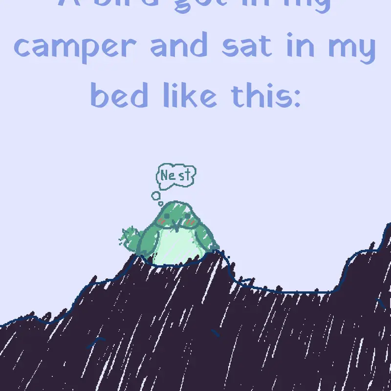 Some bird just got into my camper by @MufinTheCat
