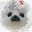 _goose avatar