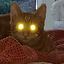 misskittenston avatar