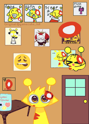 snapshot