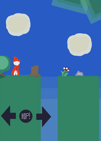 The mushroom collector