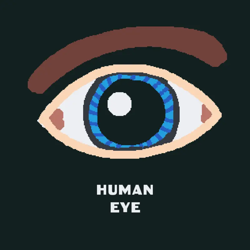 Game by @MidnightMaker