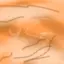im_done_bro avatar