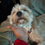 boop73118 avatar