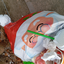 sancupe avatar