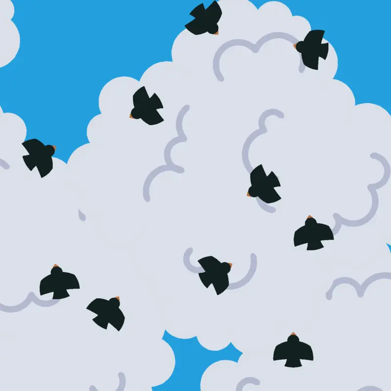 bird_flock by @mmmm13