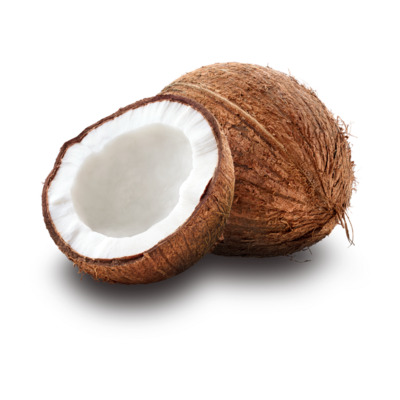 @Coco_dacoconut