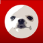 Zer0o0o0 avatar