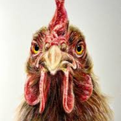 @those__chickens