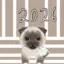 Lilythecatmyan_yt avatar